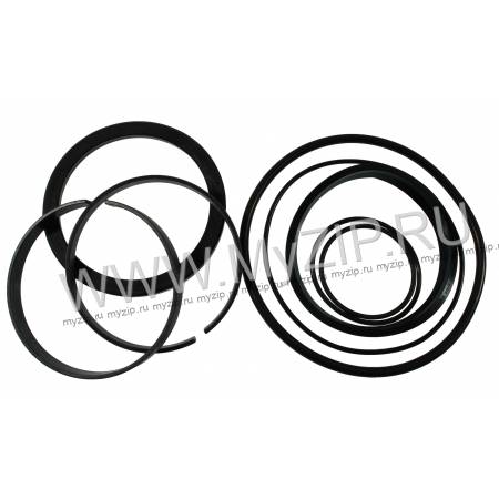S.GU.SD.C/110, S.GUARN.C/110 (head gasket), 54401209
