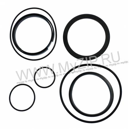 S.GU.SD.C/100, S.GUARN.C/100 (head gasket), 54401208
