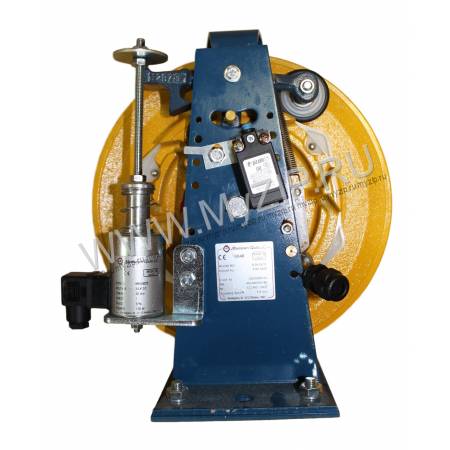 RG300