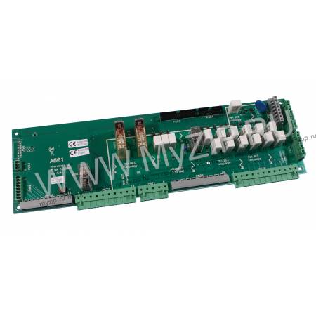 8120601