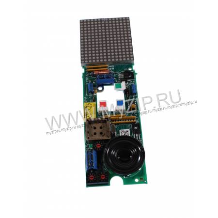 KM474536G02