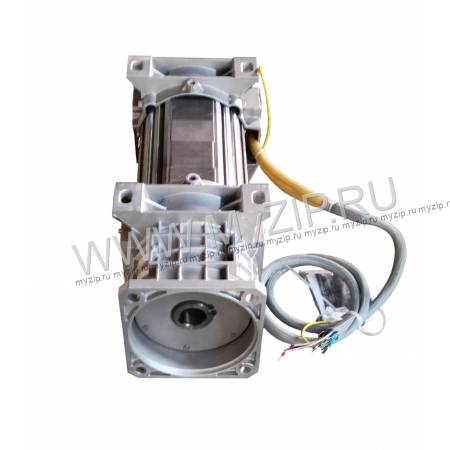 R80260338, G492A294T690NE2