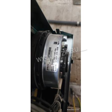 59606274
